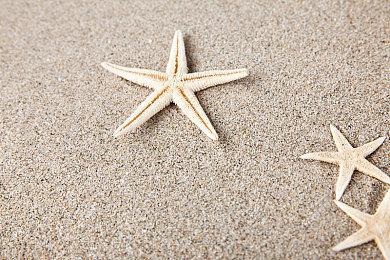 在育碧“道歉”声明后 IGN也改口称弥助不是武士